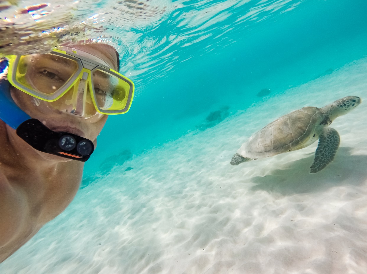 Saint Martin Snorkeling