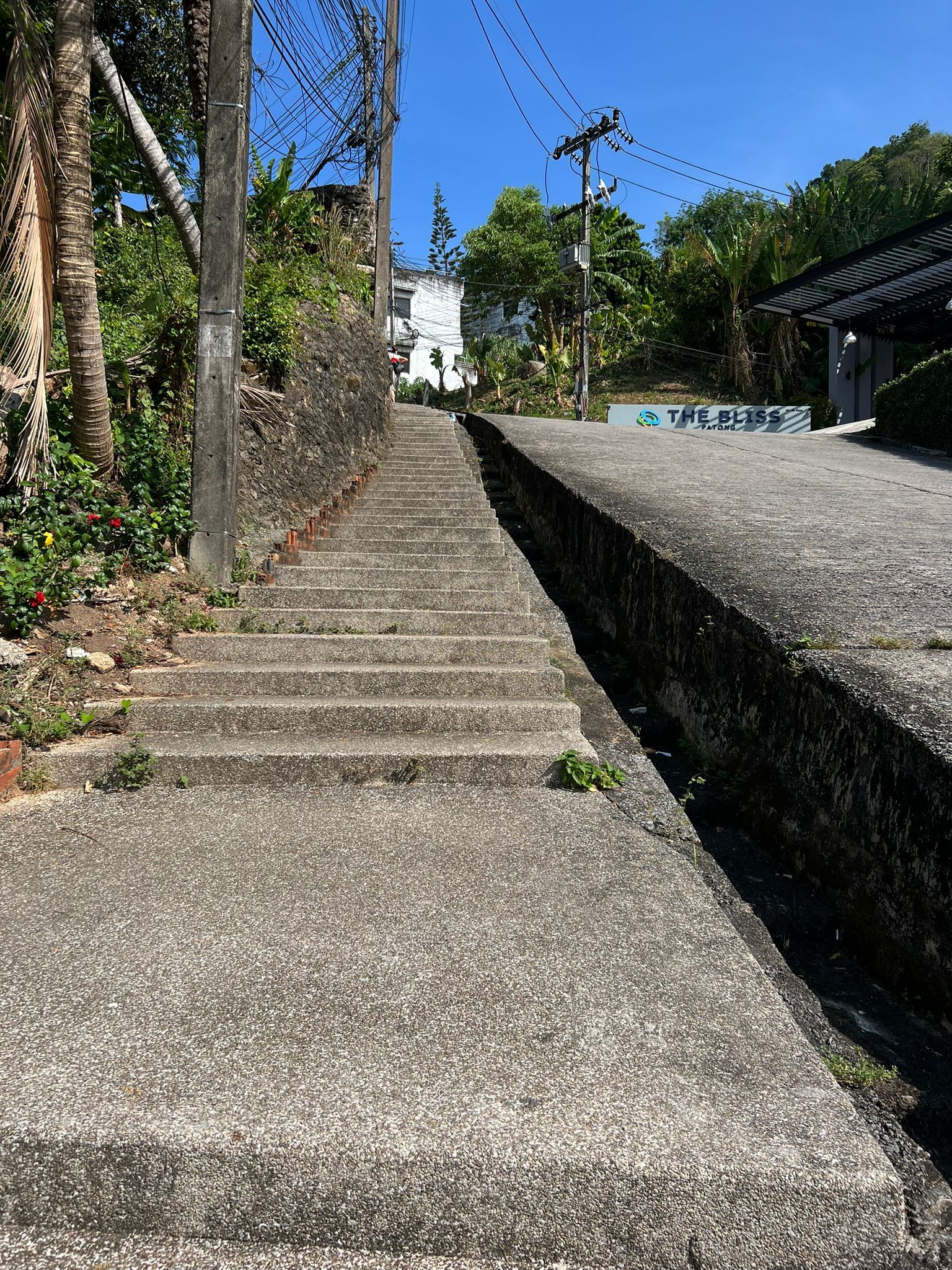 Image 26