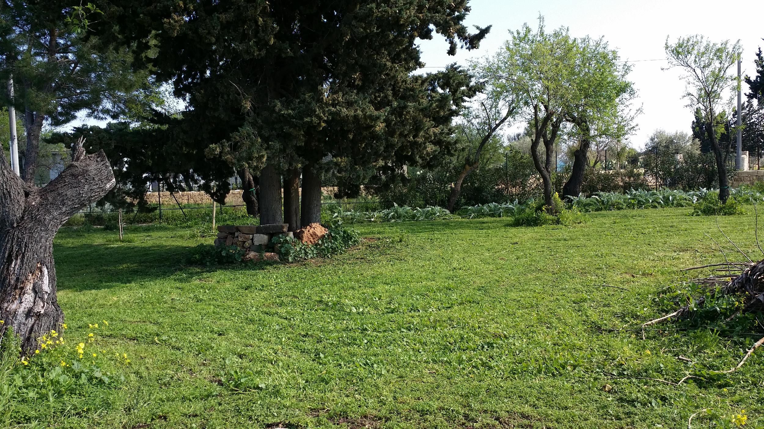 Image 84