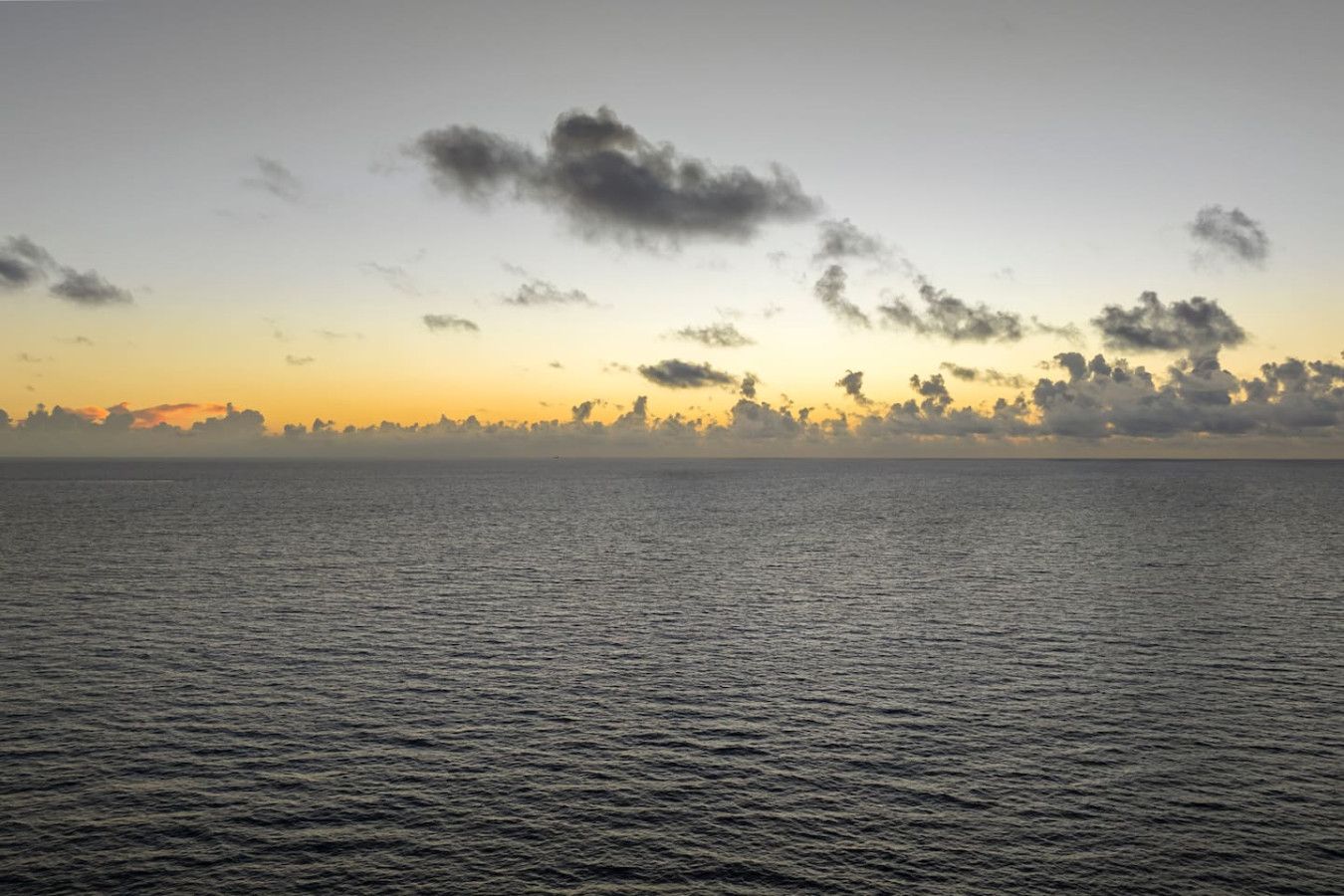 Image 55