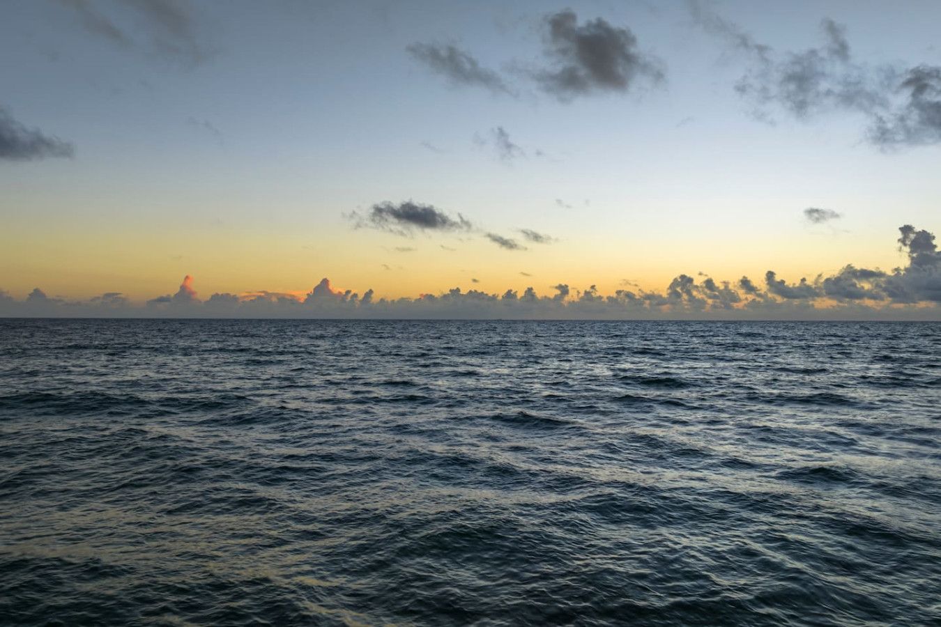 Image 82