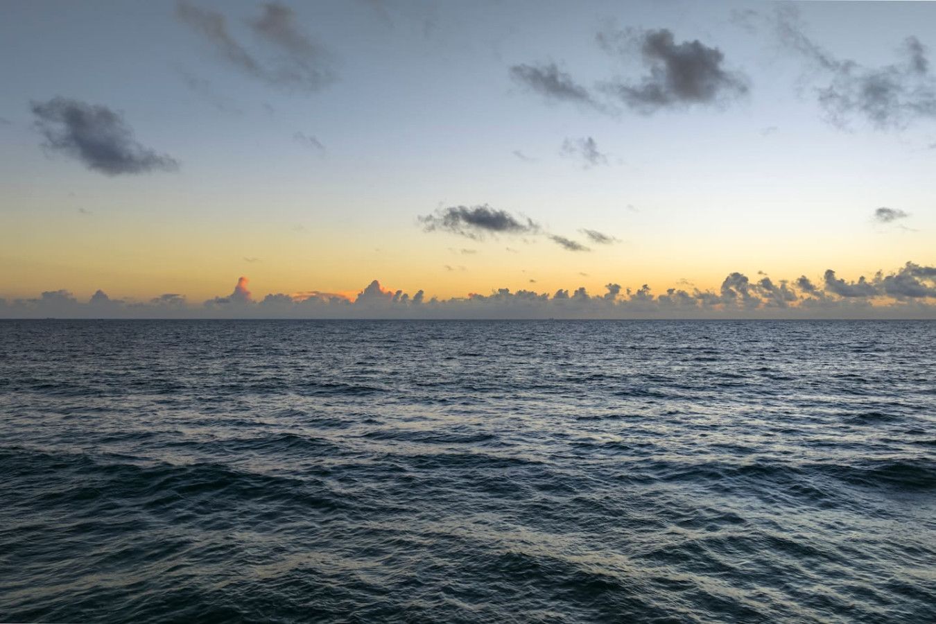 Image 85